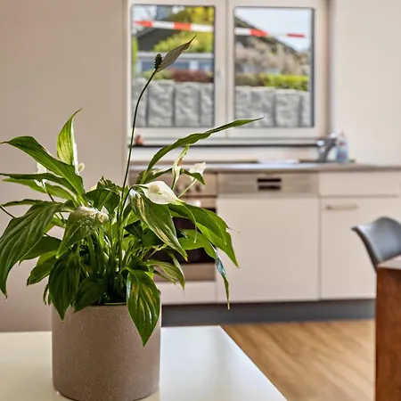 Stegmann Horn Apartment Gaienhofen (Baden-Wurttemberg)