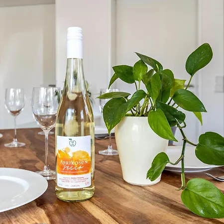 Appartement Stegmann Horn *